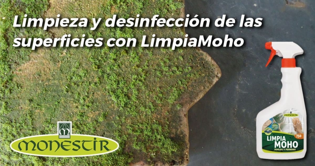 Limpia Moho de Monestir